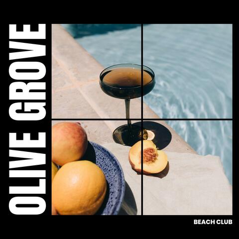 Olive Grove: Relaxing Deep House