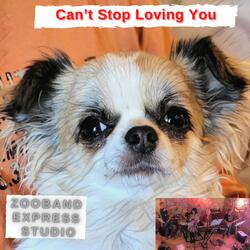Can't Stop Loving You