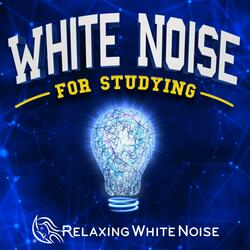 Study Aid White Noise Focus on Homework, Studying, Reading or Writing Essays Loop (No Fade)