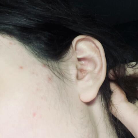 Ear