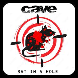 Rat in a Hole