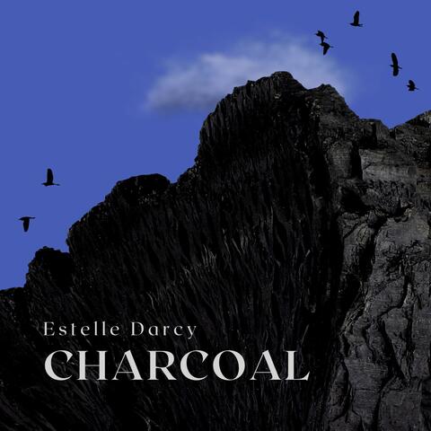 Charcoal