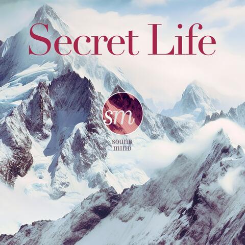 Secret Life