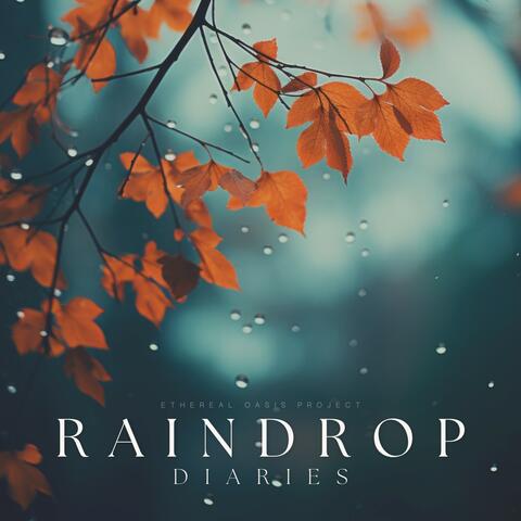 Raindrop Diaries