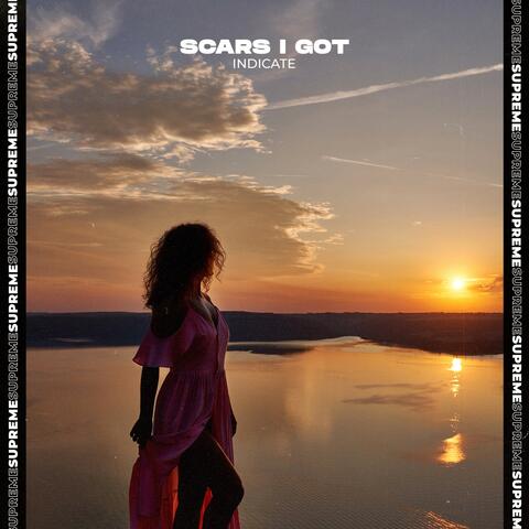 Scars I Got