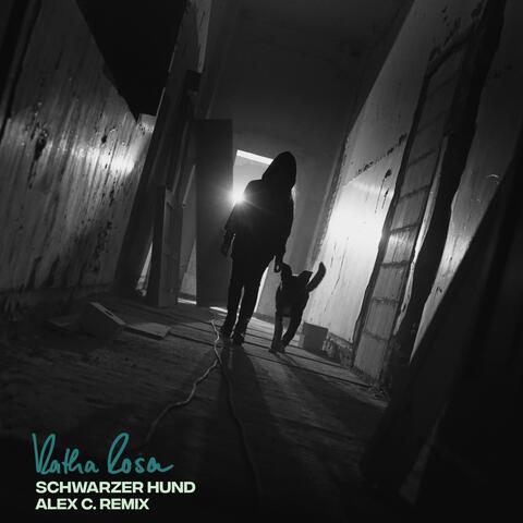 Schwarzer Hund