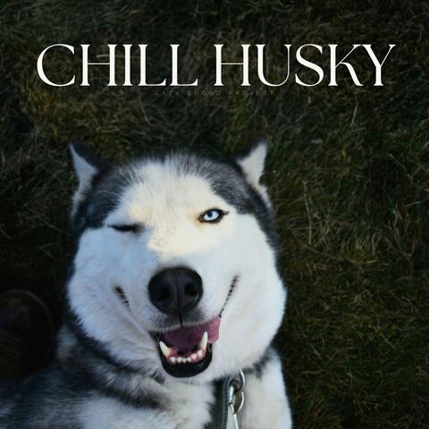 Chill Husky