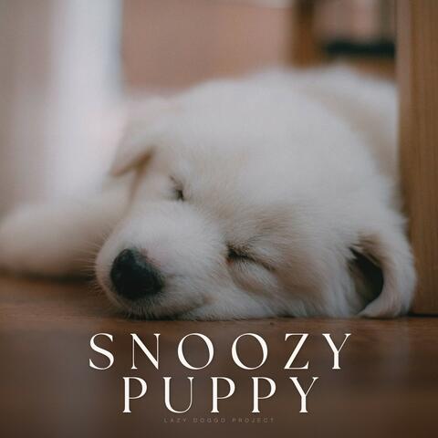 Snoozy Puppy