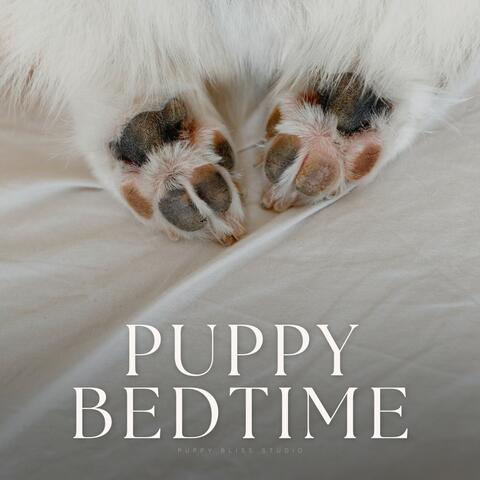 Puppy Bedtime