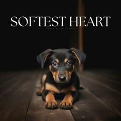 Ephemeral Musingscape