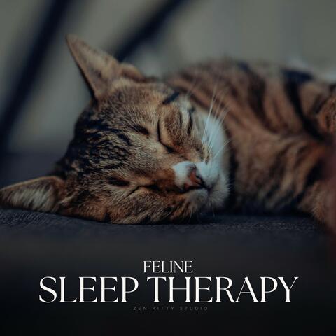 Feline Sleep Therapy