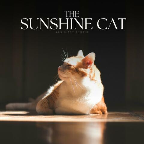 The Sunshine Cat