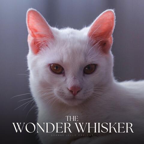 The Wonder Whisker