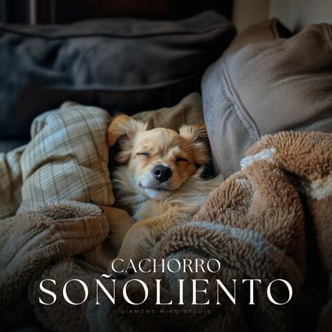 Cachorro Soñoliento