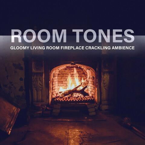 Room Tones: Gloomy Living Room Fireplace Crackling Ambience