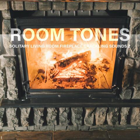 Room Tones: Solitary Living Room Fireplace Crackling Sounds 2