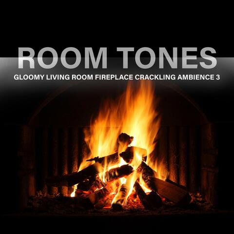 Room Tones: Gloomy Living Room Fireplace Crackling Ambience 3