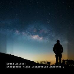 Stargazing Night Countryside Ambience, Pt. 1