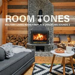Solitary Living Room Fireplace Crackling Sounds, Pt. 14