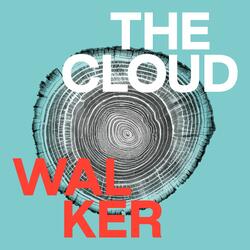 The Cloud Walker