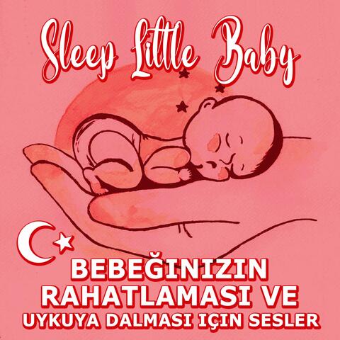 Bebeğinizin Rahatlamasi Ve Uykuya Dalmasi Için Sesler