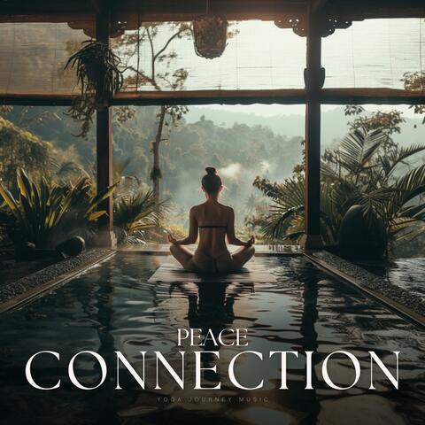 Peace Connection