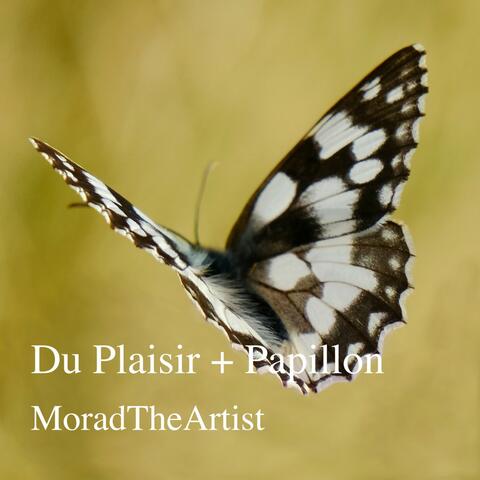 Du Plaisir + Papillon