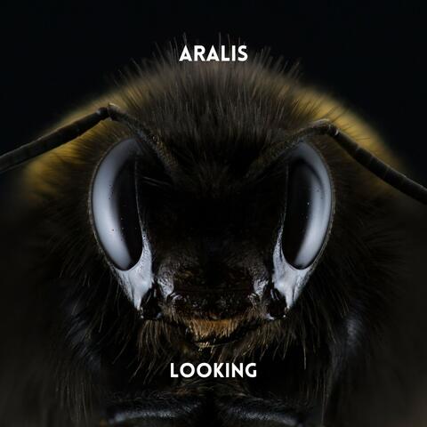 Looking