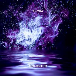 Momentum