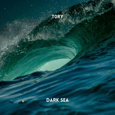 T0RY