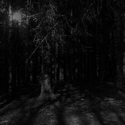 Кома 2 Дота Рэп Shadowraze Zxcured Zxc Онлайн 2