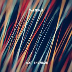 Wait the Night