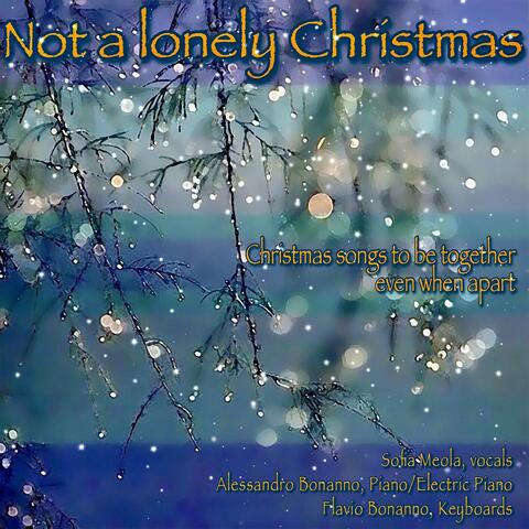 Not a Lonely Christmas