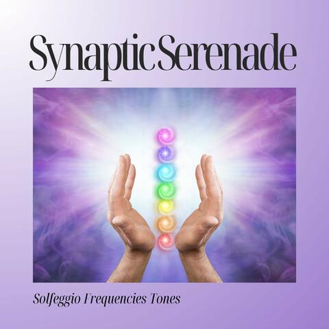 Synaptic Serenade: Binaural Meditation Beats