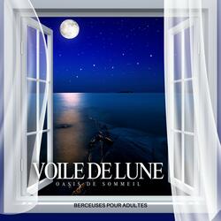 Musique Induction au Sommeil