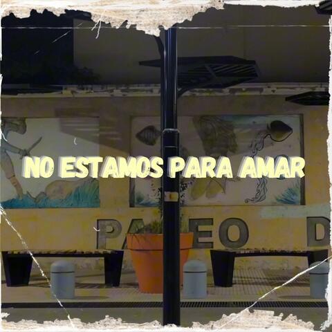 No Estamos para Amar