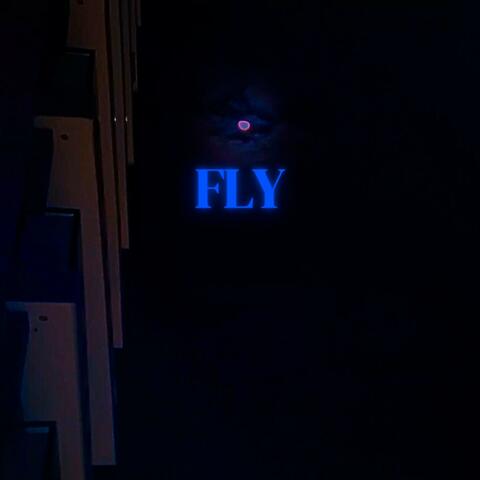 Fly