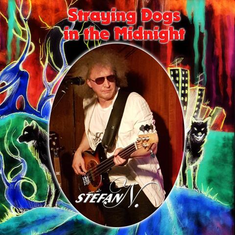 Straying Dogs in the Midnight