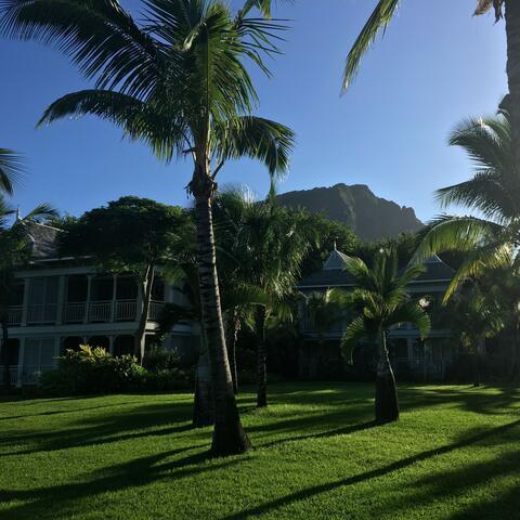 Le plus beau paradis