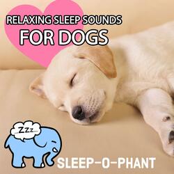 Womb Sounds for Dogs (Heartbeats for Puppies), Pt. 16