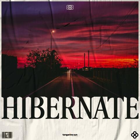 Hibernate