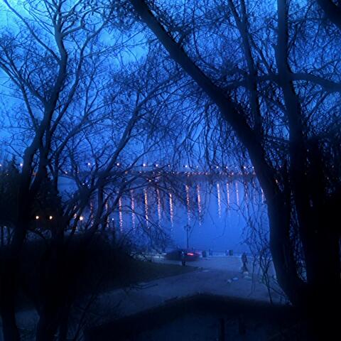 Космический планктон