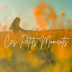 Ces petits moments