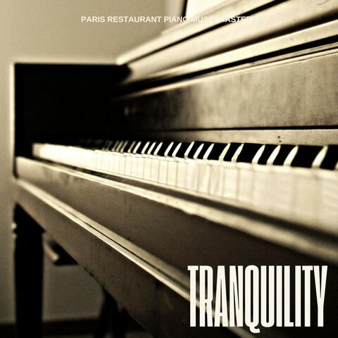 Tranquility: Piano Music Focus