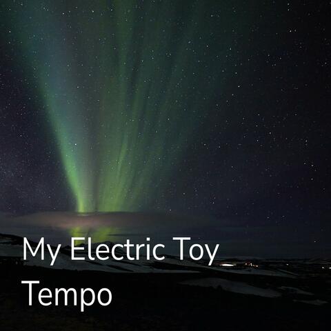 My Electric Toy