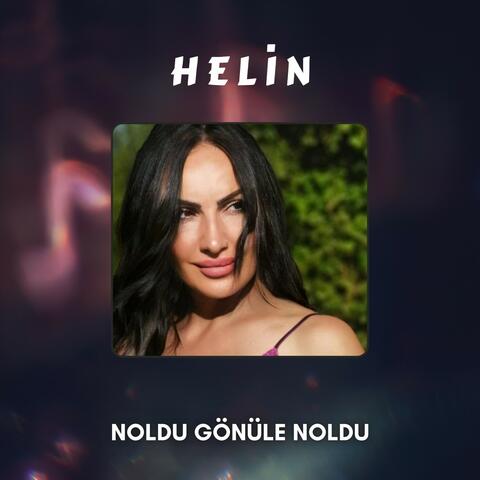 Noldu Gönüle Noldu