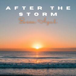After the Storm