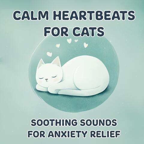 Calm Heartbeats for Cats: Soothing Sounds for Anxiety Relief