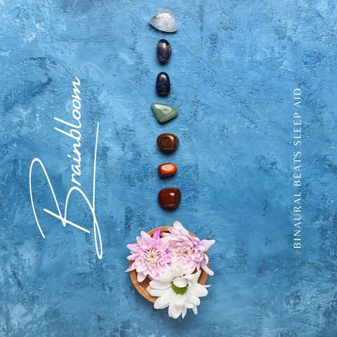 Brainbloom: Binaural Meditation Beats