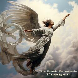 Through the Fields of Bloom